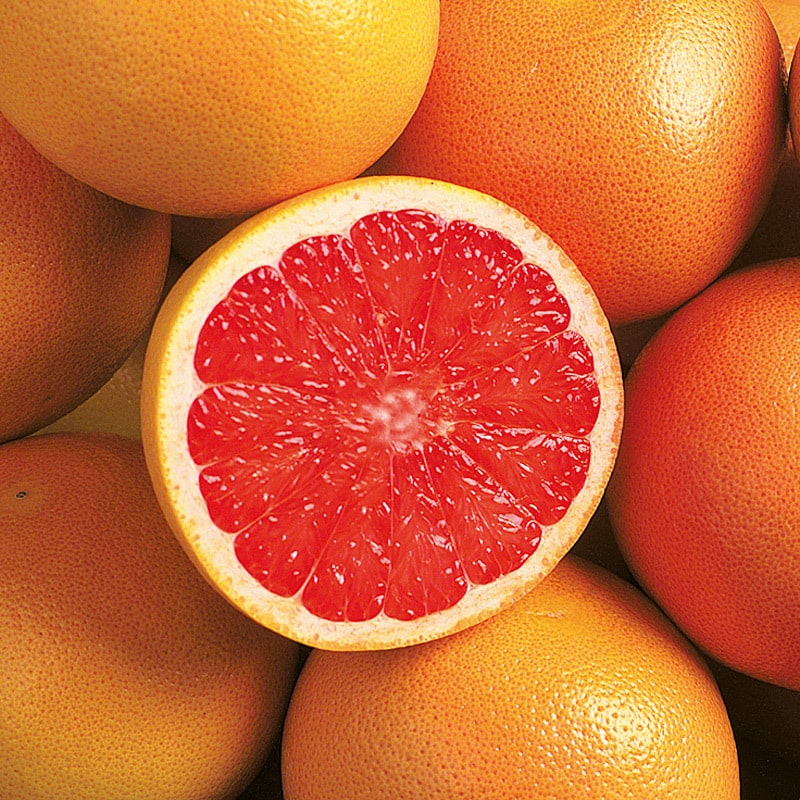 Grapefruit (1Stück)